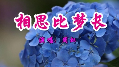 优秀少年钮裔诺 - 周虹一首经典情歌《相思比梦长》好听极了