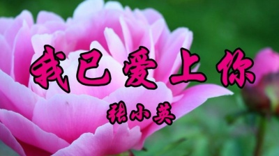 袖珍妈妈逗乐 - 张小英一首怀旧情歌《我已爱上你》带来满满的回忆