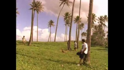 Puya - Oasis