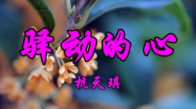 经典金曲 - 怀旧金曲，杭天琪一首《驿动的心》瞬间勾起童年记忆