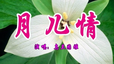 Joanna娟儿 - 乌兰图雅一首经典情歌《月儿情》好听醉人