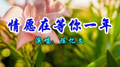 乔勋安 - 经典情歌，陈忆文一首《情愿在等你一年》好听极了