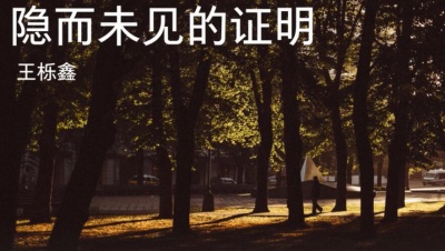 王栎鑫 - 隐而未见的证明