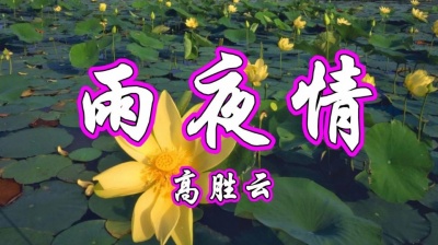 小明爱听歌 - 高胜云一首经典情歌《雨夜情》甜美醉人