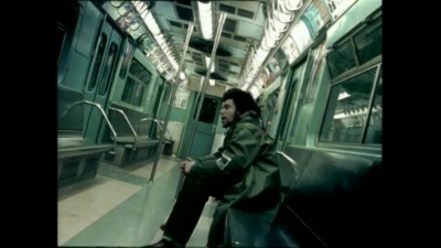 Urban Species - Blanket