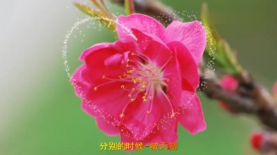 爱豆圈 - 分别的时候