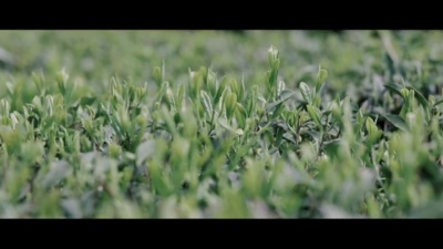 慕寒、万象凡音 - 吃茶记