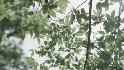 爱豆圈 - Things She Said