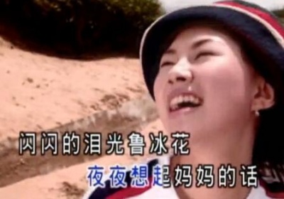 卓依婷 - 鲁冰花