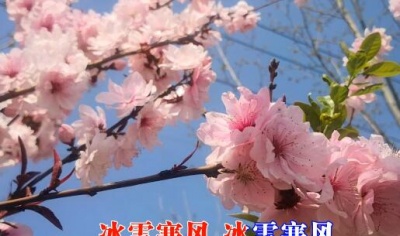 尚亿哥 - 今生相爱