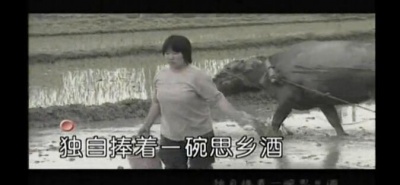 陈星 - 思乡酒