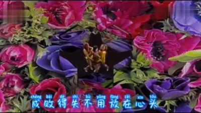 爱豆圈 - 真心真意过一生（DJ版）