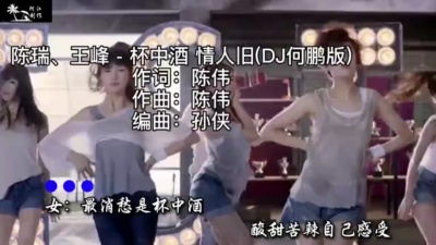 陈瑞、王峰、何鹏 - 杯中酒 情人旧 (DJ何鹏版)