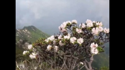 雨晨吖 - 霍山