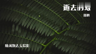 赵鹏 - 逝去的爱