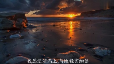 赵鹏 - 在水一方