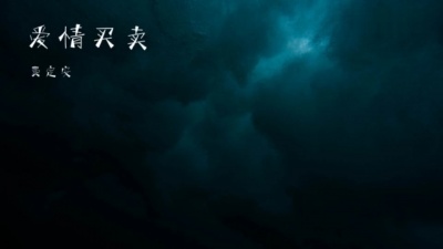 费定安 - 爱情买卖