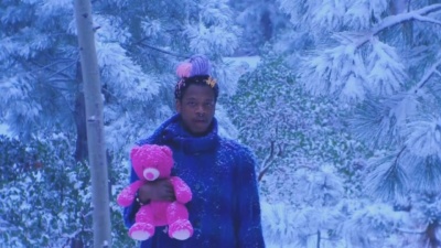 Shamir - Diet