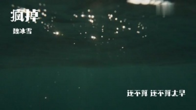 魏冰雪 - 疯掉