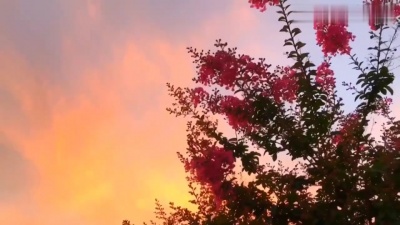 肄业 - 醉美夕阳