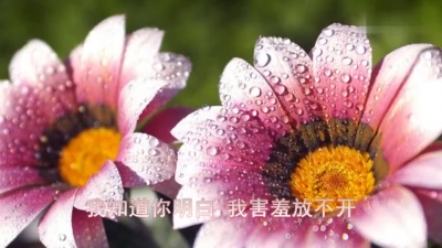 汪苏泷 - 多一点时间