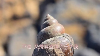 汪苏泷 - 掩耳