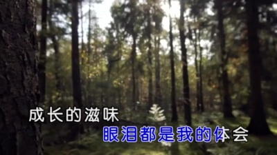 汪苏泷 - 眼泪