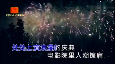 陈瑞 - 一个人的情人节