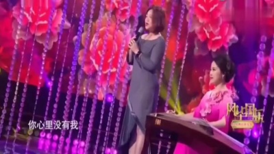 陈瑞、CCTV音乐频道风华国乐 - 奈何