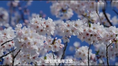 爱豆圈 - 弥勒心