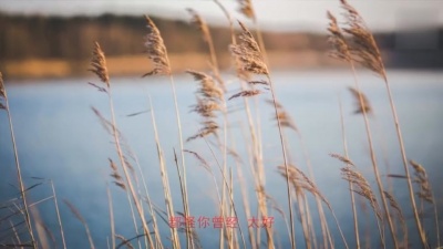 爱豆圈 - 太早