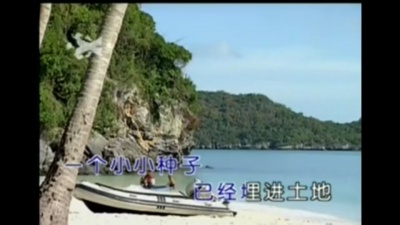 刘若英 - 春光