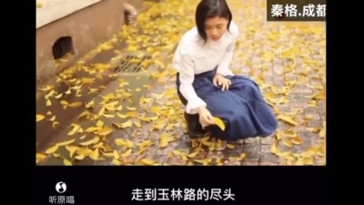 秦格 - 秦格.成都