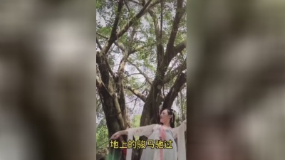胡子大叔 - 这首(玛尼情歌)网红短视频都在唱这首歌