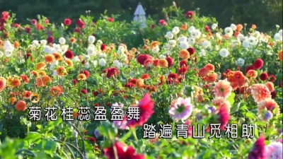 霓歌 - 青玉案·夫妻同修