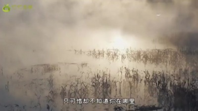 爱豆圈 - 秋光