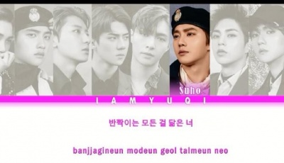 EXO - 가끔 (With You) (偶尔)