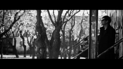 david demaria - Donde nace la belleza