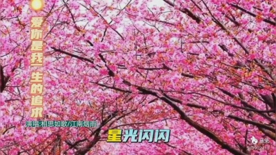 江南烟雨 - 《爱你是我一生的追求》