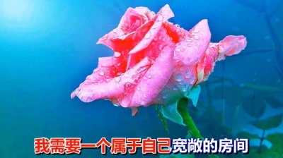 云朵音乐 - 一首网络情歌《值得一辈子去爱的人》