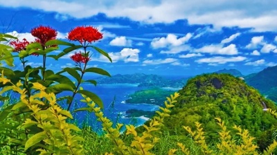 此音乐只因天上有 - 一首好听的情歌《找一个没有回忆的地方》