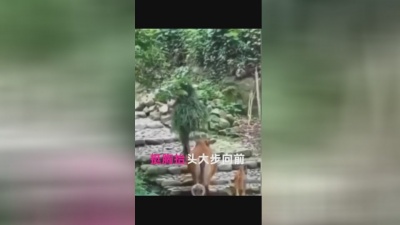 帐号已注销 - 新歌上线、一首《人的一生真的难》送给友友们、感谢您的聆听和支持、希望大家多多留言