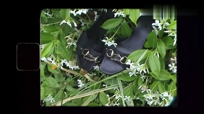Nicole Millar - Dying To Forget