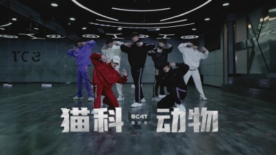 ECAT翼少年 - 猫科动物