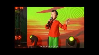 徐金慧 - 九儿