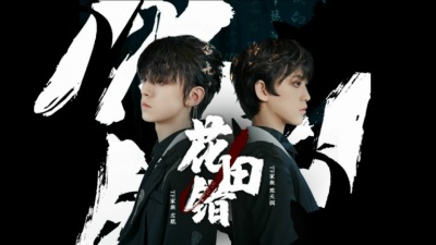 TF家族 - 花田错