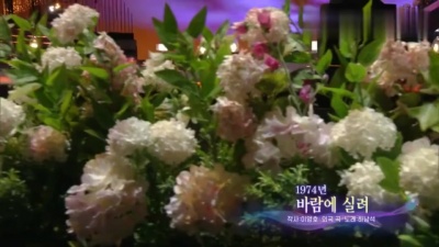 하남석 - 바람에 실려