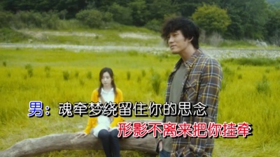 轻舞飞翔、丛林思语 - 一生一世伴你左右