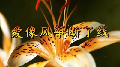 许华祥 - 晓月一首痴心情歌《 爱像风筝断了线》唱出了多少痴情人的心声！