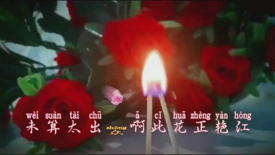 羚茵 - 女人花(粤语)